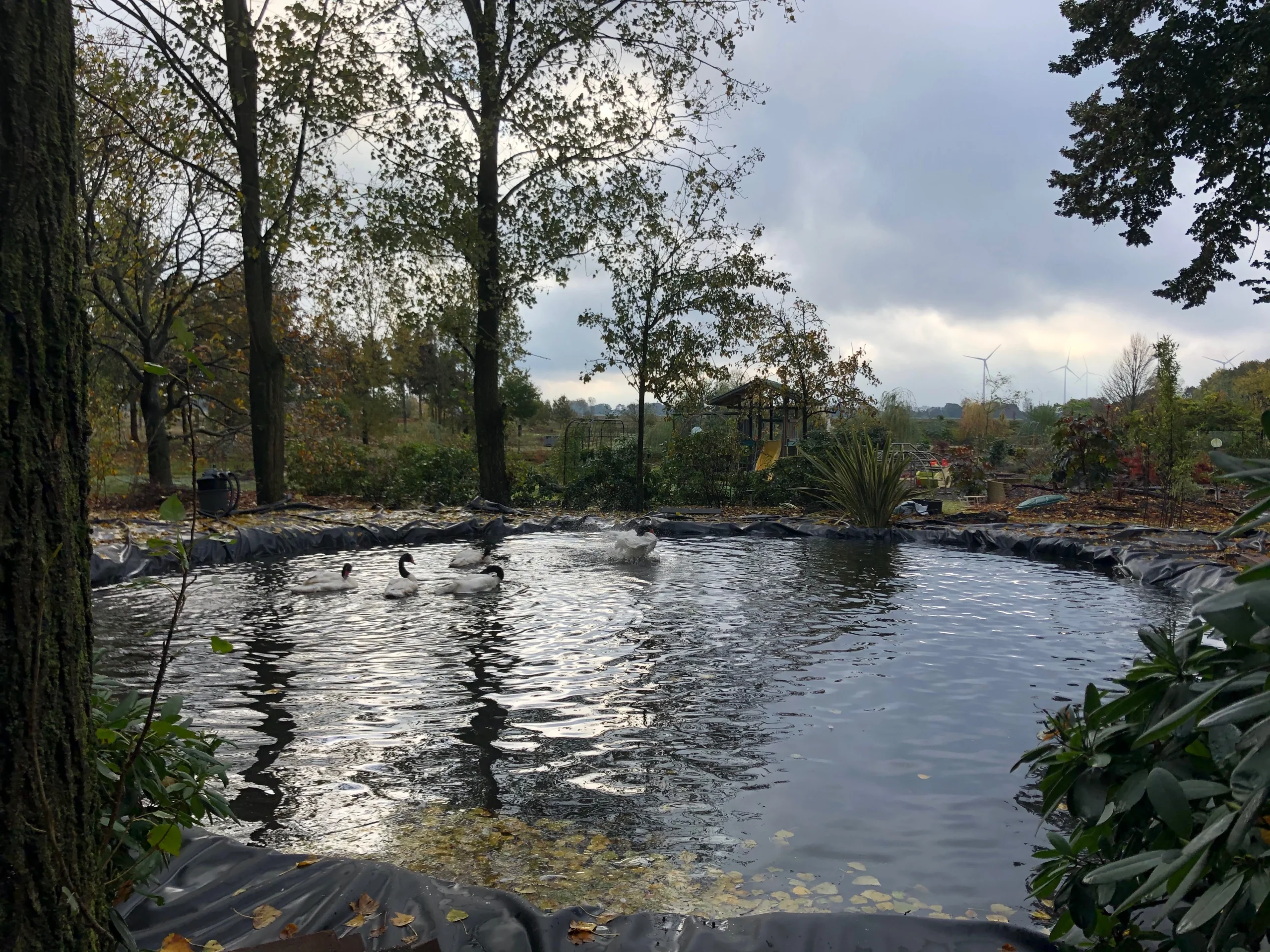 Interim Financieel Management Gifex