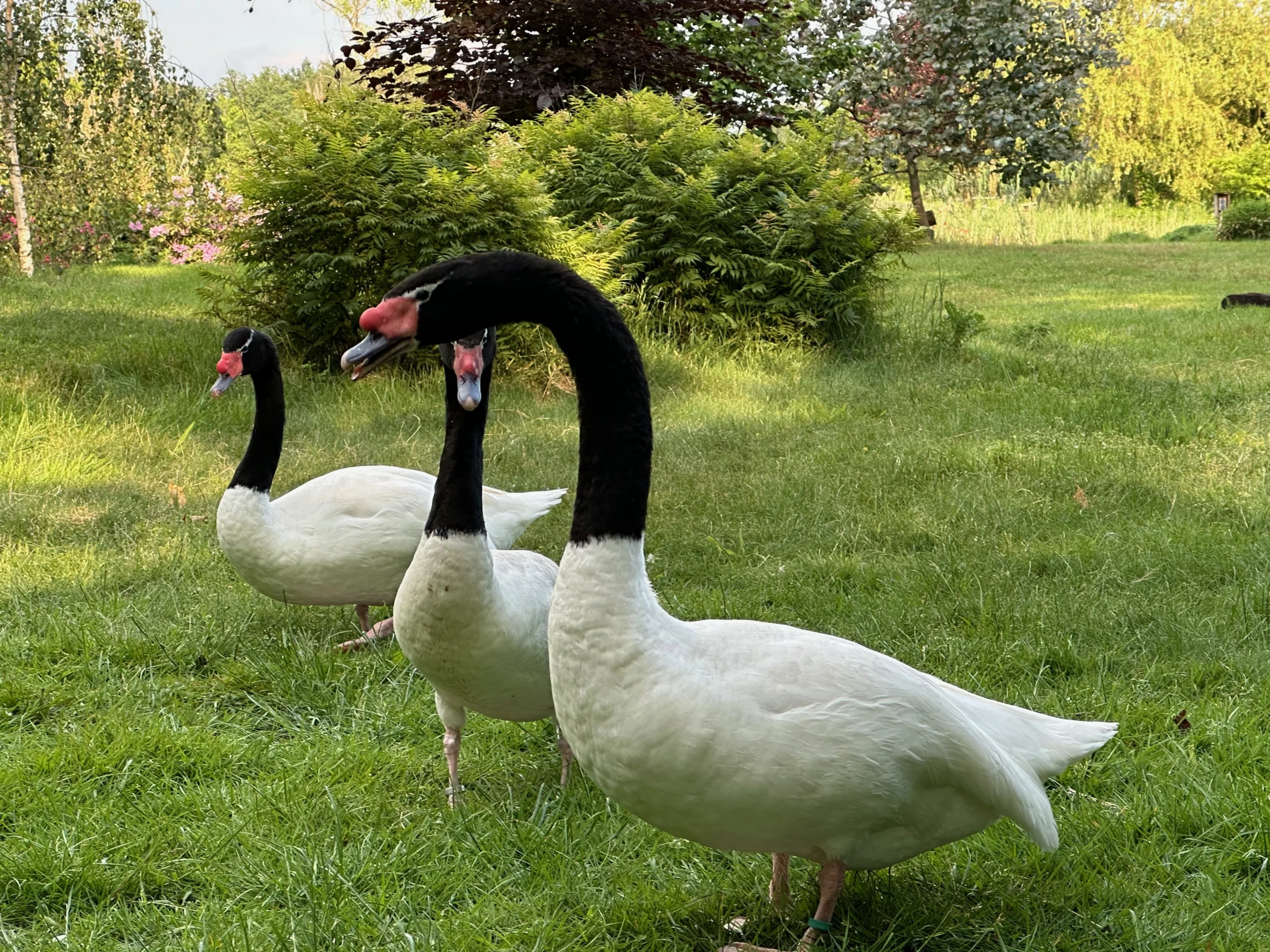 Interim Financieel Management Gifex